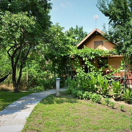 Vinarstvi Koliba Apartment Чейковице Екстериор снимка
