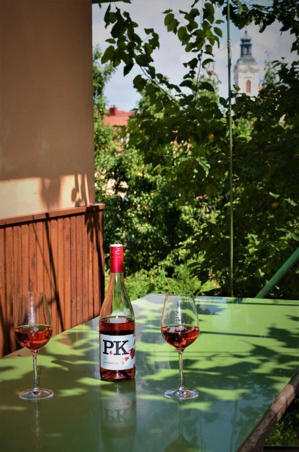 Vinarstvi Koliba Apartment Чейковице Екстериор снимка