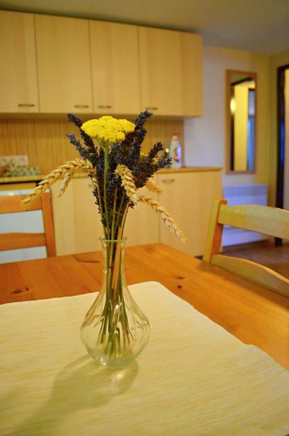 Vinarstvi Koliba Apartment Чейковице Екстериор снимка